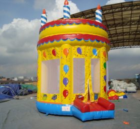 T4-6 Birthday Party Inflatable Bouncer