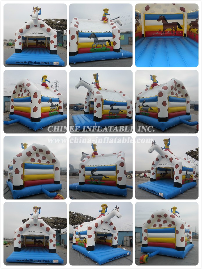 a - Chinee Inflatable Inc.